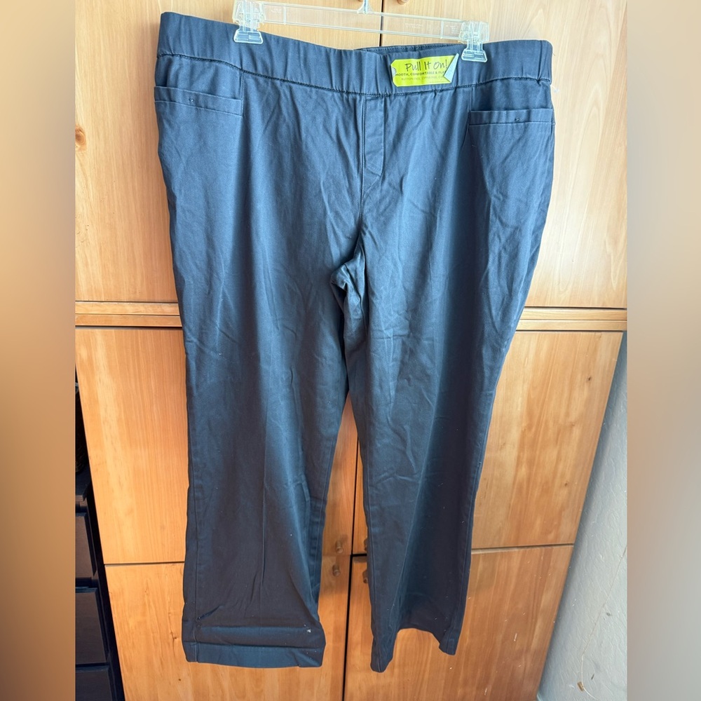 Lee style up pull on pants NWOT